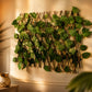 Expandable Faux Ivy Willow Lattice | Artificial Greenery Wall Decor Privacy Fence Screen for Indoor & Outdoor wall leaves decor